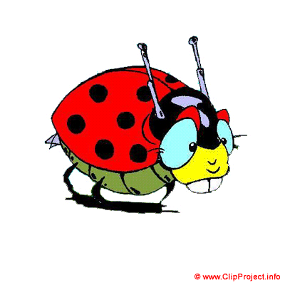 Beetle Clipart Bild kostenlos