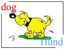 Bildwörterbuch Dog / Hund