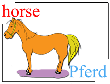 Dictionary Horse / Pferd
