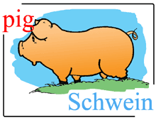 Dictionary Pig / Schwein