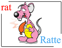 Dictionary Rat / Ratte
