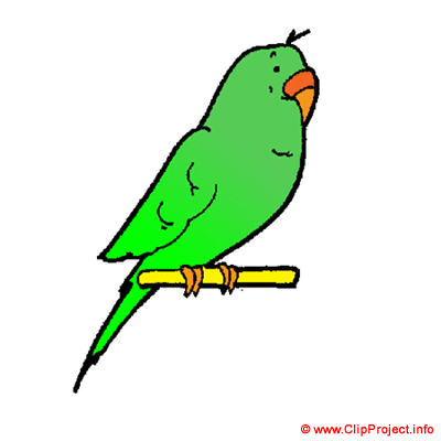 Papagei Clipart Bild kostenlos